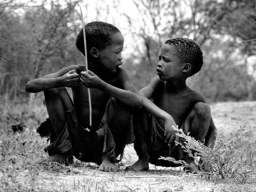 Les chasseurs apprennent à chasser très jeunes.

En Amazonie brésilienne, les garçons yanomami apprennent à ‘lire’ les empreintes des animaux en grimpant aux arbres, les pieds attachés par des lianes; les filles yanomami, de leur côté, aident leur mère à cultiver des plantes telles que le manioc dans leur jardin et vont chercher de l'eau à la rivière. 

Au Botswana, les jeunes bushmen reçoivent des arcs et des flèches pour chasser les rats et les petits oiseaux. On leur apprend également à tuer les lièvres ou à faire des couvertures à partir de peaux d’animaux. Les petites filles, dès l'âge de 5 ans, aident leur mères à ramasser des plantes, des baies et des tubercules.

Les enfants de la tribu des Piaroa, qui vivent le long de la rivière vénézuélienne de l'Orénoque, chassent d'énormes tarentules qu'ils font griller sur un feu.

_J’ai grandi en tant que chasseur_ explique Roy Sesana, un Bushman de la tribu des Gana, au Botswana.  _Tous les garçons et les hommes étaient chasseurs._