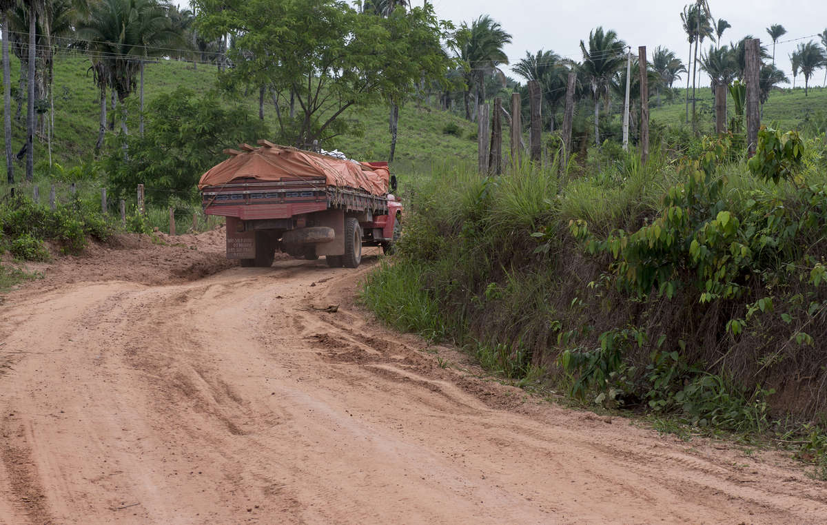 Following Survival's campaign, a government operation has removed most loggers and settlers from the key Awá territory, but logging continues in other territories where they live.