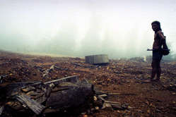 Les forêts des Penan ont été dévastées par les bûcherons.