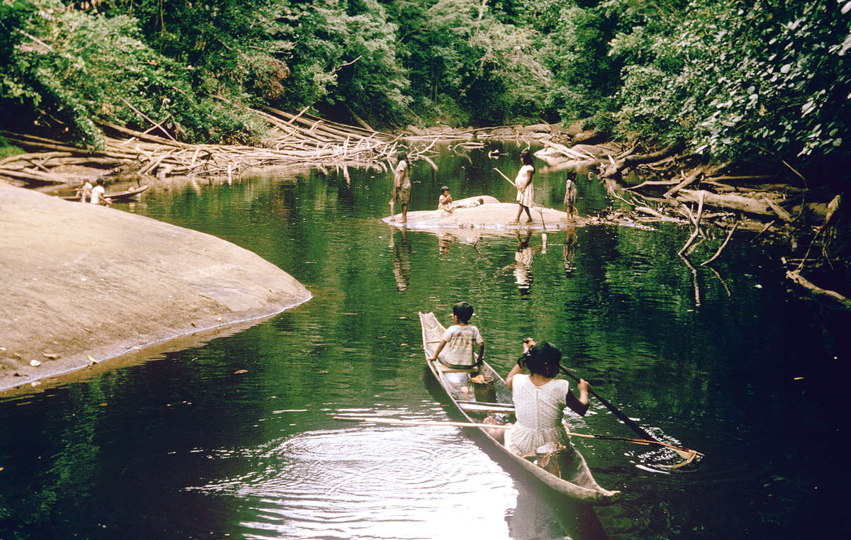 The Akawaio and Arekuna fish in the Mazaruni river and its tributaries. The proposed dam would flood the tribes' land and forever destroy an area famed for its scenery and bio-diversity.