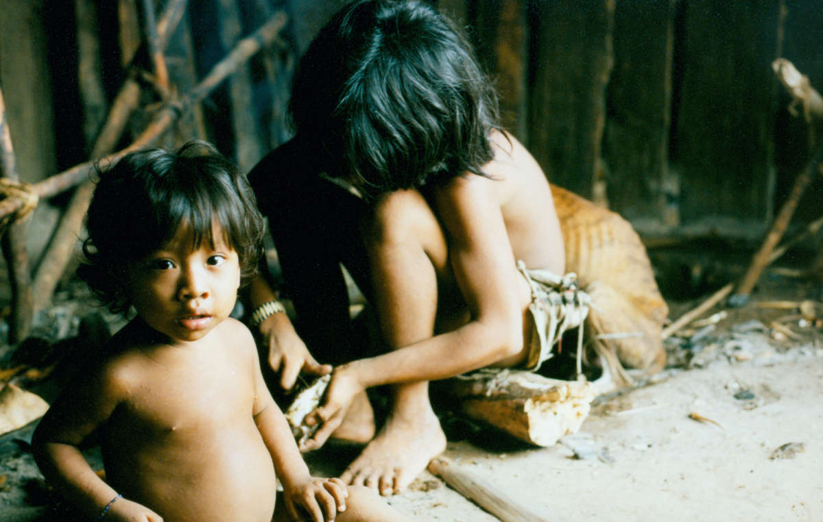Enfants awá, Brésil. La découverte d'Indiens isolés à proximité du territoire des Katukina fait suite à la confirmation de la présence d'un groupe d'Awá isolés dans l'est amazonien.