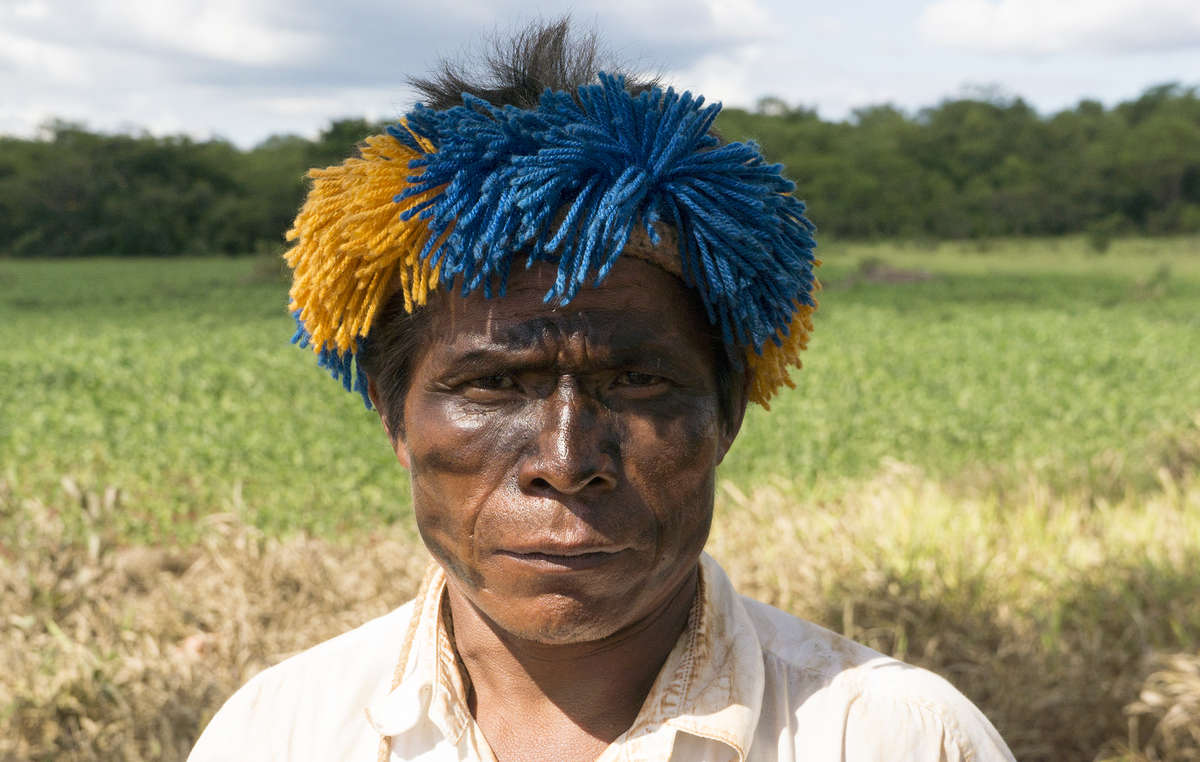 Индейцы гуарани. Гуарани. Guarani.