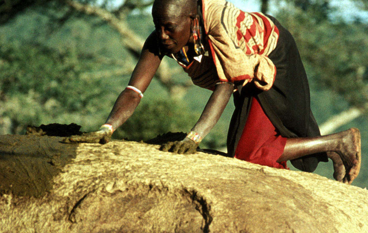 Mujer masai extendiendo una capa de heces de vaca sobre el tejado de su cabaña. Una vez seca, se convierte en un caparazón impermeable y favorece la firmeza de la estructura. Kenia.