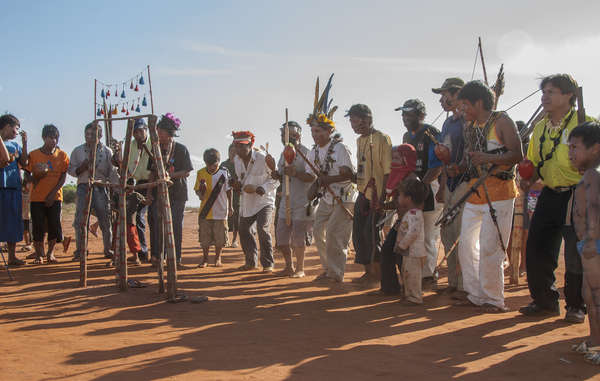 “we Guarani Are Fighting For Our Sacred Land Survival International 2810