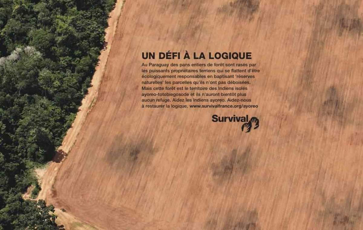 Survival lance une campagne de publicité internationale en faveur des Ayoreo.