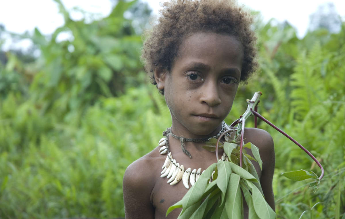 Crackdown fears peak in West  Papua  50 years after first 