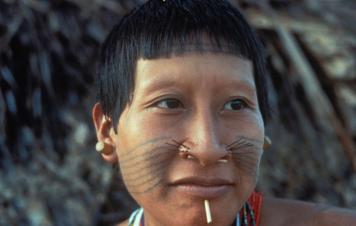 Tupá, a Matis woman, near the Itui river in the Javari Valley, Brazil. The Matis were devastated by western diseases after they were first contacted in the 1970s. Over half of the Matis died in the year following contact. Their numbers have risen from a low of 87 to around 500 today, but the Brazilian government is not doing enough to protect their health.