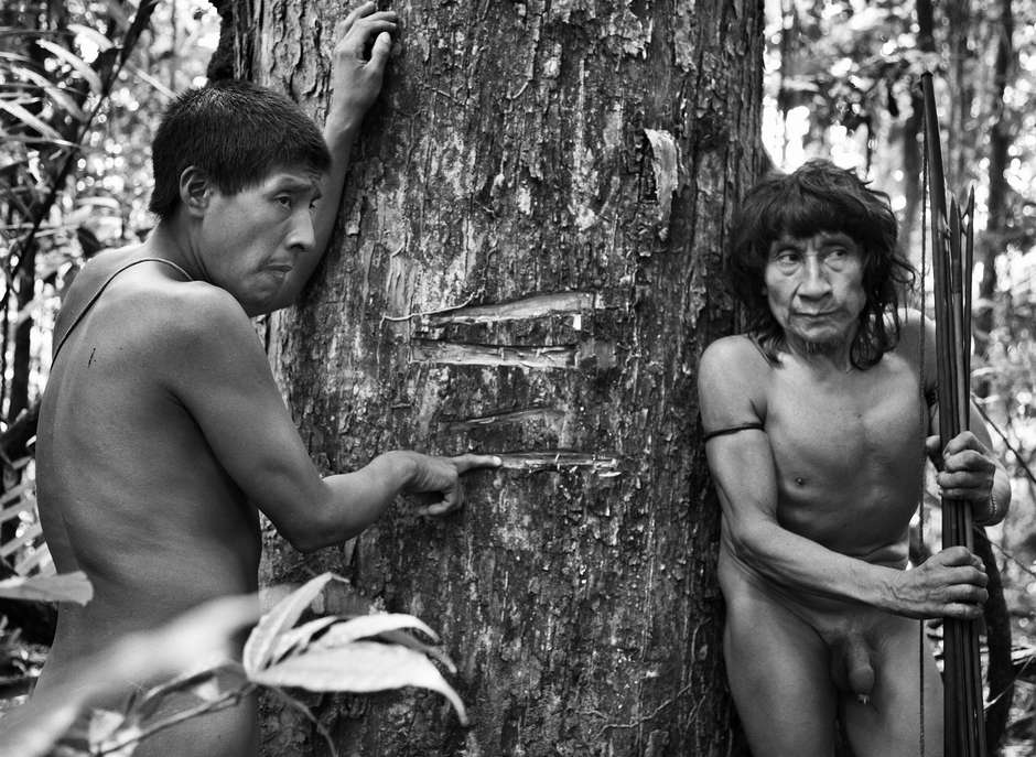 _The loggers are ruining our forest. There is not enough food, not enough fish.  After we drink, we have stomach aches - they throw rubbish in the rivers_. 

_There are roads right through the middle of the forest.  The loggers mark the trees for felling_. 

Haikaramoka'a, Awá man. 