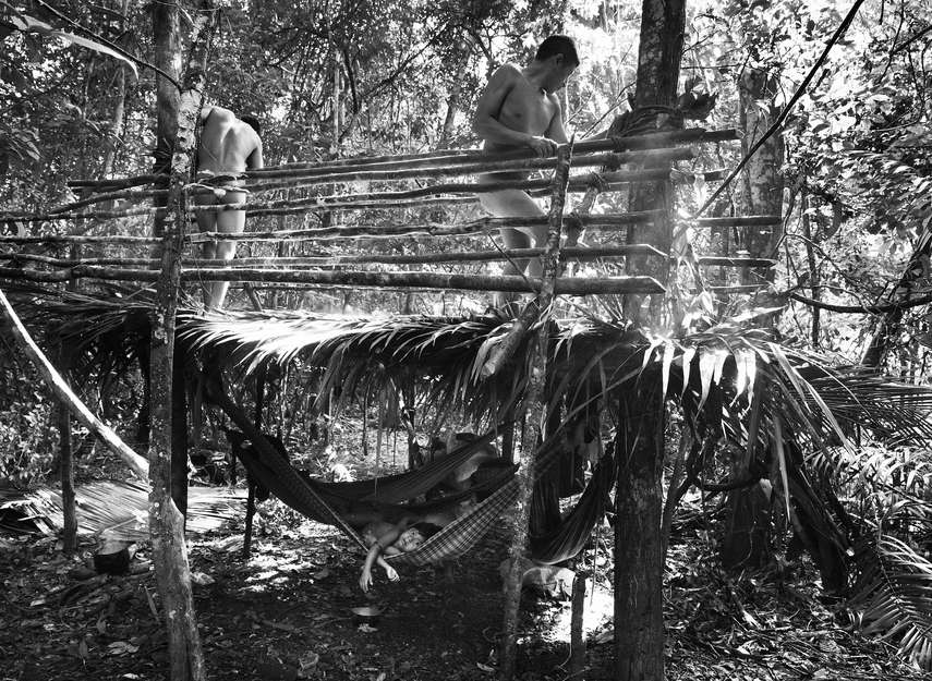 The Awá make hammocks from 'tucum' palm fibres - the contacted Awá also use cotton - and headdresses from toucan feathers.

They are able to build a house from lianas, leaves and tree saplings in a few hours.