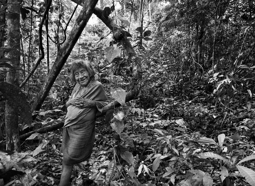 Survival hat den Start der Operation zum Schutz der Awá begrüßt und fordert nun von den brasilianischen Behörden eine langfristige Lösung, um die Rückkehr der Holzfäller zu verhindern und die Sicherheit der Awá zu garantieren. 

Die Awá verdienen das Recht, nach ihrem Willen zu leben, auf ihrem Land und ohne Gewalt oder Übergriffe von Außen. „Wir werden nicht aufgeben, bis wir eine Welt haben, in der die Awá – und andere indigene Völker – respektiert werden und ihre Menschenrechte geschützt sind“, sagt Stephen Corry. 