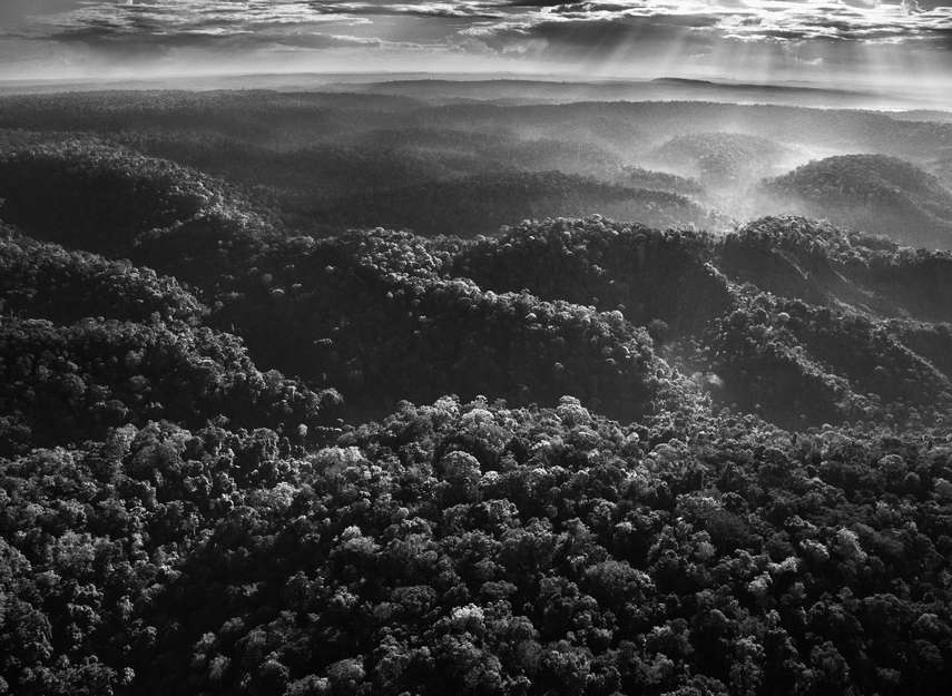 I raggi del sole che tramonta illuminano la folta foresta pluviale amazzonica del Brasile nord-orientale.

Luogo di straordinaria bellezza e biodiversità, l’Amazzonia è il regno del puma, del giaguaro e dell’anaconda. Ma è anche la terra natale degli Awá, una delle ultime tribù nomadi rimaste in Brasile.

Survival International lotta per i diritti degli Awá da decenni.

Questa straordinaria galleria è il frutto di una collaborazione tra Survival e il celebre fotografo Sebastião Salgado, che recentemente ha fatto visita alla tribù per documentare il suo mondo e le minacce che pendono sulla sua vita.