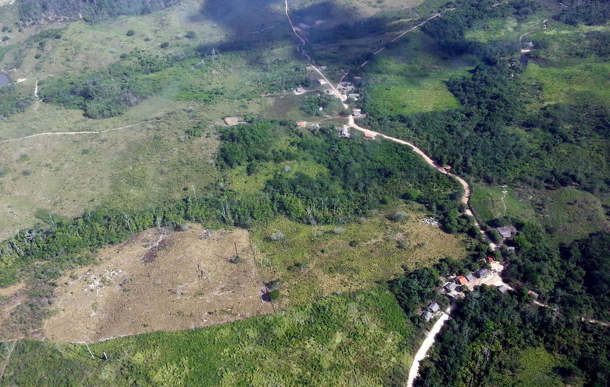 Brasilien hat schließlich eine Bodenoperation gestartet, um illegale Eindringlinge aus dem Awá-Gebiet auszuweisen.