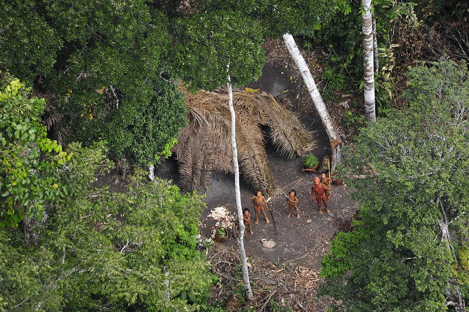 Unkontaktierte Indigene in Brasilien, die während einer Expedition der brasilianischen Regierung 2010 von der Lust aus gesehen wurden. Die Fotos zeigen eine aufstrebende, gesunde Gemeinde mit Körben voll von frischem Maniok und Papaya aus ihren Gärten. Sie halten außerdem Metalltöpfe und Messer in den Händen, die sie wahrscheinlich aus dem Tausch mit anderen indigenen Völkern erhalten haben.