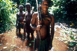 Bayaka 'Pygmies', Central African Republic. Each country that ratifies Convention 169 makes it stronger everywhere.