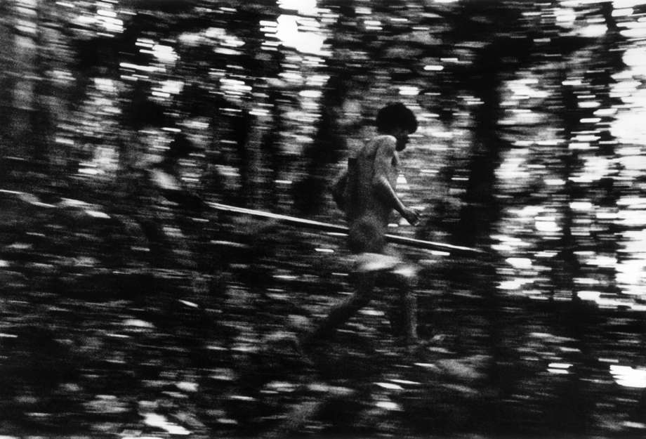 A Yanomami hunter darts through the Amazon rainforest.

A common misconception about hunter-gatherers has existed for centuries, which holds that there exists a human evolutionary hierarchy, in which 'backward' hunters-gatherers lie somewhere near the bottom and the more sophisticated, or advanced, agriculturalists near the top.

_Largely a colonial myth, this theory has been used over millennia to justify the theft of tribal territories_, says Stephen Corry, Director of Survival International. _Some hunter-gatherer societies have failed to survive changes in their environment, but others have flourished, and will continue to thrive, if their human rights are respected and their land rights recognised_.

Today's hunter-gatherers are not remnants of human history. They are some of the world's only egalitarian societies, and equality between age groups and genders, as well as with the environment, is often highly valued.

They have adapted to changing climates and eco-systems and developed an extraordinary repertoire of tactics and tools that probably bear little resemblance to the way prehistoric peoples lived 10,000 years ago.

