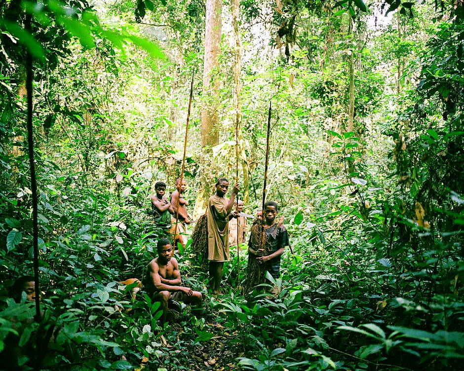 _We love the forest as we love our own bodies_, say the 'Pygmy' peoples who live in the densely forested regions of Central and West Africa.  

Pygmy men scale immense trees in search of honey, and are such proficient mimics they can imitate the sound of a distressed antelope in order to lure another out of the bush.
