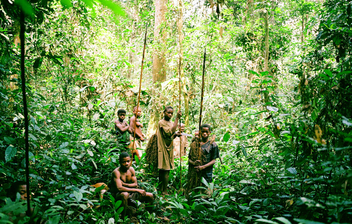 Os Pigmeus são os especialistas da floresta. Aqui, são fotografados na República Democrática do Congo.