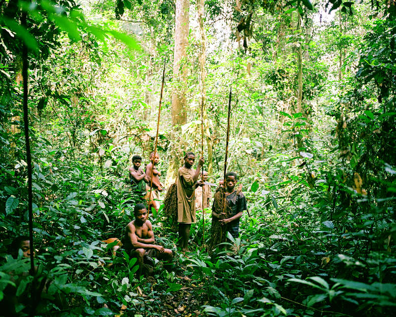 _We love the forest as we love our own bodies_, say the 'Pygmy' peoples who live in the densely forested regions of Central and West Africa.  

Pygmy men scale immense trees in search of honey, and are such proficient mimics they can imitate the sound of a distressed antelope in order to lure another out of the bush.
