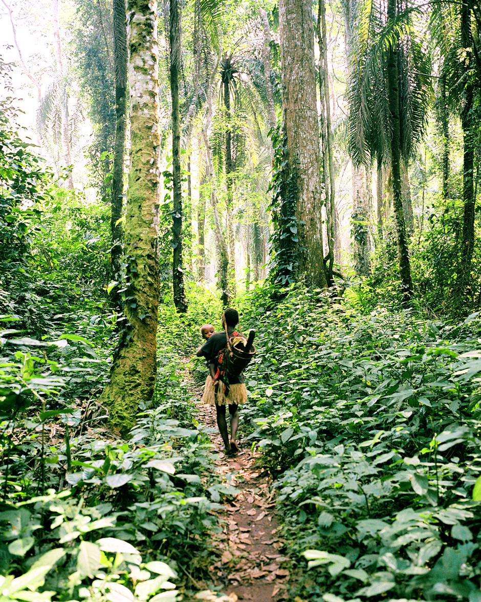 In the Congo Basin, a Baka "Pygmy" mother carries her baby while she gathers wild plants and nuts in the forest.

The Baka in southeast Cameroon are being illegally forced from their ancestral homelands in the name of “conservation” because "much of their land has been turned into “protected areas” – including safari-hunting zones":http://www.survivalinternational.org//about/southeast-cameroon. Now they face arrest and beatings, torture and death at the hands of anti-poaching squads supported by the World Wide Fund for Nature (WWF).
