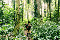 Les forêts luxuriantes sont primordiales pour l'identité pygmée.