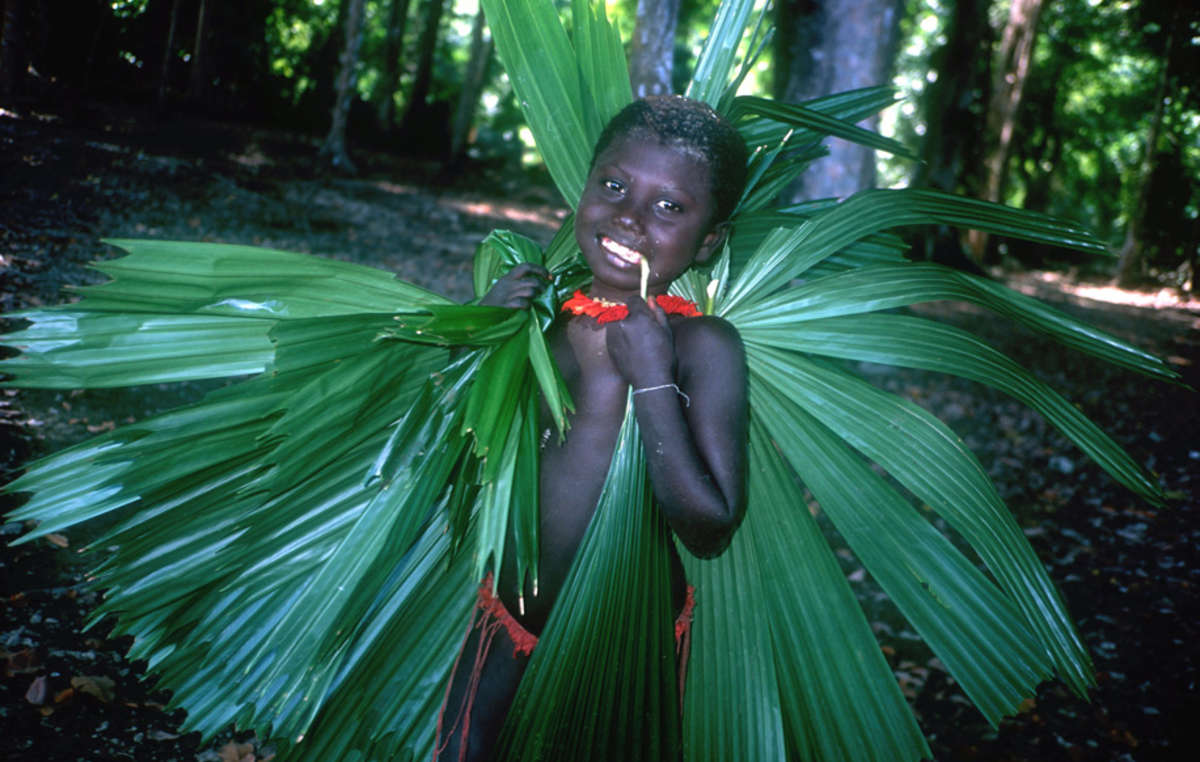 de Jarawa rieten hun schuilplaatsen met bladeren uit het bos.