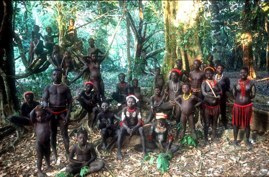 The hunter-gatherer tribes of the Andaman Islands – the Jarawa, Great Andamanese, Onge and Sentinelese – are believed to have lived in their Indian Ocean home for up to 55,000 years.

The Jarawa are thought to have 'optimum' levels of nutrition.  They eat foods such as wild pig, turtle, fish, crab, prawns and molluscs, and supplement them with various wild roots, tubers, nuts, seeds and honey. Fishing in the coral-fringed reefs is carried out with a bow and arrow. They have detailed knowledge of more than 150 plant and 350 animal species. 

