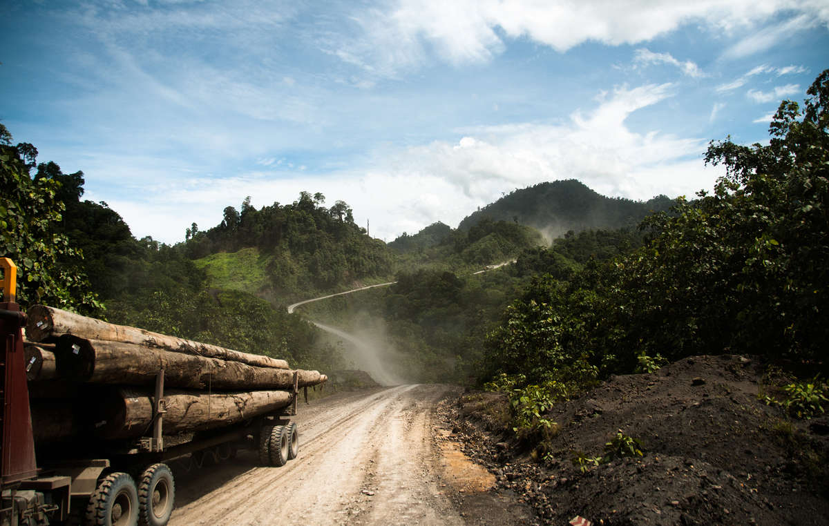 Die Penan in Sarawak, im malaysischen Teil der Insel Borneo, ringem um ein Ende der Zerstörung ihres Regenwaldes und ihrer Lebensweise.