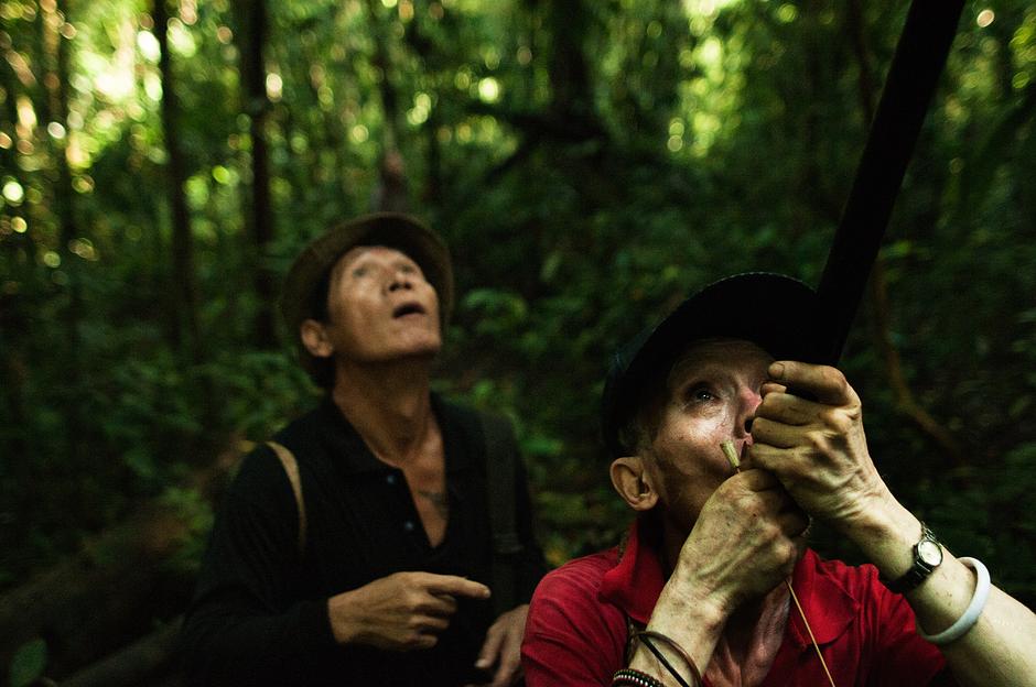 Im Schatten des Regenwaldes in Sarawak führt ein Penan-Jäger ein Blasrohr an seinen Mund und feuert mit einem kurzen aber starken Atemstoß einen Pfeil hoch in die Bäume.

Einst war jeder Mensch zum Überleben auf das Sammeln von Nahrung und die Jagd angewiesen. Menschen jagten Wild, sammelten Pflanzen und passten sich erfolgreich unterschiedlichsten und häufig feindlichen Lebensräumen an.

Auch heute findet man weltweit Jäger-und-Sammler-Völker – von den Inuit, die Walrosse im gefrorenen Eis der Arktis jagen, über die Ayoreo, die im südamerikanischen Chaco Gürteltiere fangen, bis zu den Awá im Amazonasregenwald und den Rentierhirten in Sibirien.

Ihr Überleben ist heute gefährdet. Doch haben die Probleme, die sie tagtäglich bewältigen müssen, nichts mit ihrer Stärke und ihrem Einfallsreichtum als Jäger und Sammler zu tun, sondern sie entspringen gewaltsamen externen Bedrohungen für ihr Land, ihre Gesundheit und ihre Lebensweisen.