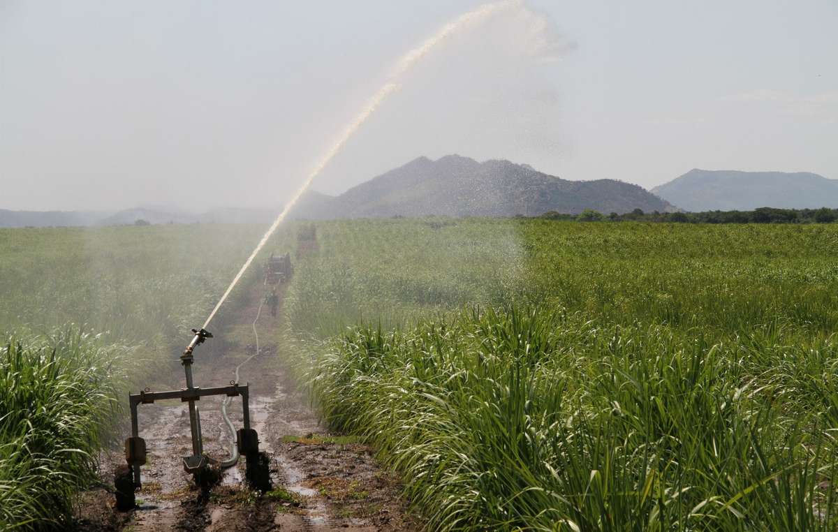 Diese Zuckerrohr-Plantage, die mit Hilfe des staatlichen Landraubes entstand, bedeckt nun ein Gebiet, das seit Menschengedenken von den indigenen Völkern im Omo-Tal genutzt wird.