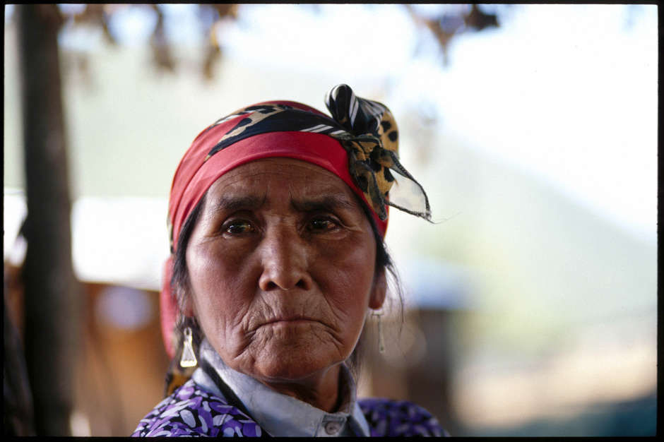 L'histoire tragique de Nicolasa Quintreman.

Nicolasa, une Indienne mapuche pehuenche du Chili, âgée de 73 ans, avait manifesté pacifiquement contre la construction du barrage de Ralco sur la rivière sacrée Bío Bío qui s'écoule à travers le territoire ancestral de sa tribu depuis le lac Galletué jusqu'au Pacifique.

Nicolasa et sa sœur Nerta refusaient depuis une décennie de quitter leurs maisons et, avec le soutien des hommes, elles bloquèrent des routes de montagne et des ponts afin d'empêcher la compagnie d'énergie hydroélectrique Endesa d'avoir accès au site de construction du barrage. De nombreux Mapuche furent arrêtés; beaucoup d'autres furent qualifiés de 'terroristes' en raison des manifestations pacifiques qu'ils organisaient pour défendre leur territoire.

Dernièrement, Nicolasa, sa sœur et l'ensemble de sa communauté ont été forcés de quitter leurs terres pour être déplacées dans un territoire d'altitude. On leur avait promis une compensation financière ainsi que d'autres mesures incitatives mais ils n'en ont reçu qu'une infime partie.

En décembre 2013, tragiquement, le corps de Nicolasa Quintreman a été retrouvé flottant dans le réservoir de Ralco, ce même lac artificiel dont elle avait tenté d'empêcher la construction.

_'Nous, qui sommes là, nous devons être là, nous devons nous défendre tant que nous le pouvons'_, disait-elle.

_'On ne peut pas venir chez moi et me dire ce que je dois faire. Je suis comme je suis. Ma terre n'a fait de mal à personne. Alors, je ne cesserai jamais de lutter pour elle'_.