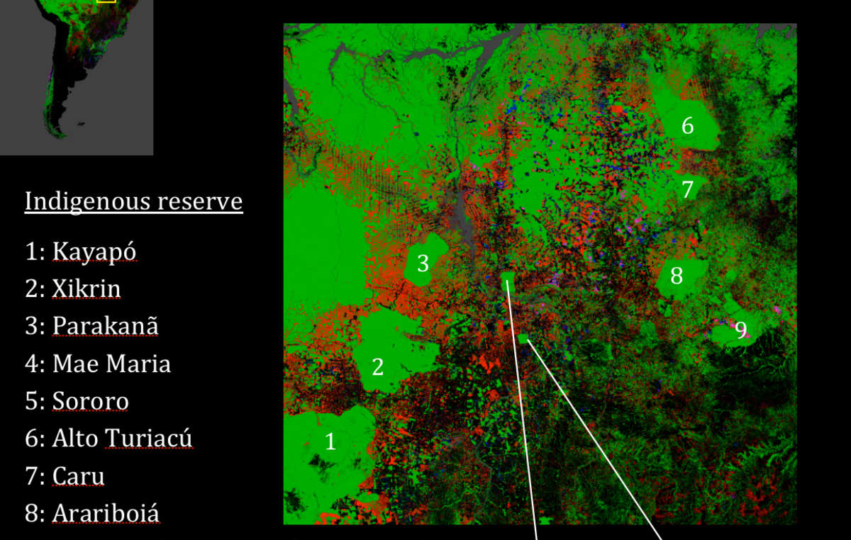 Satellite imagery shows how indigenous territories (numbered green areas) conserve Amazon rainforest and act as a barrier to deforestation (other colors)