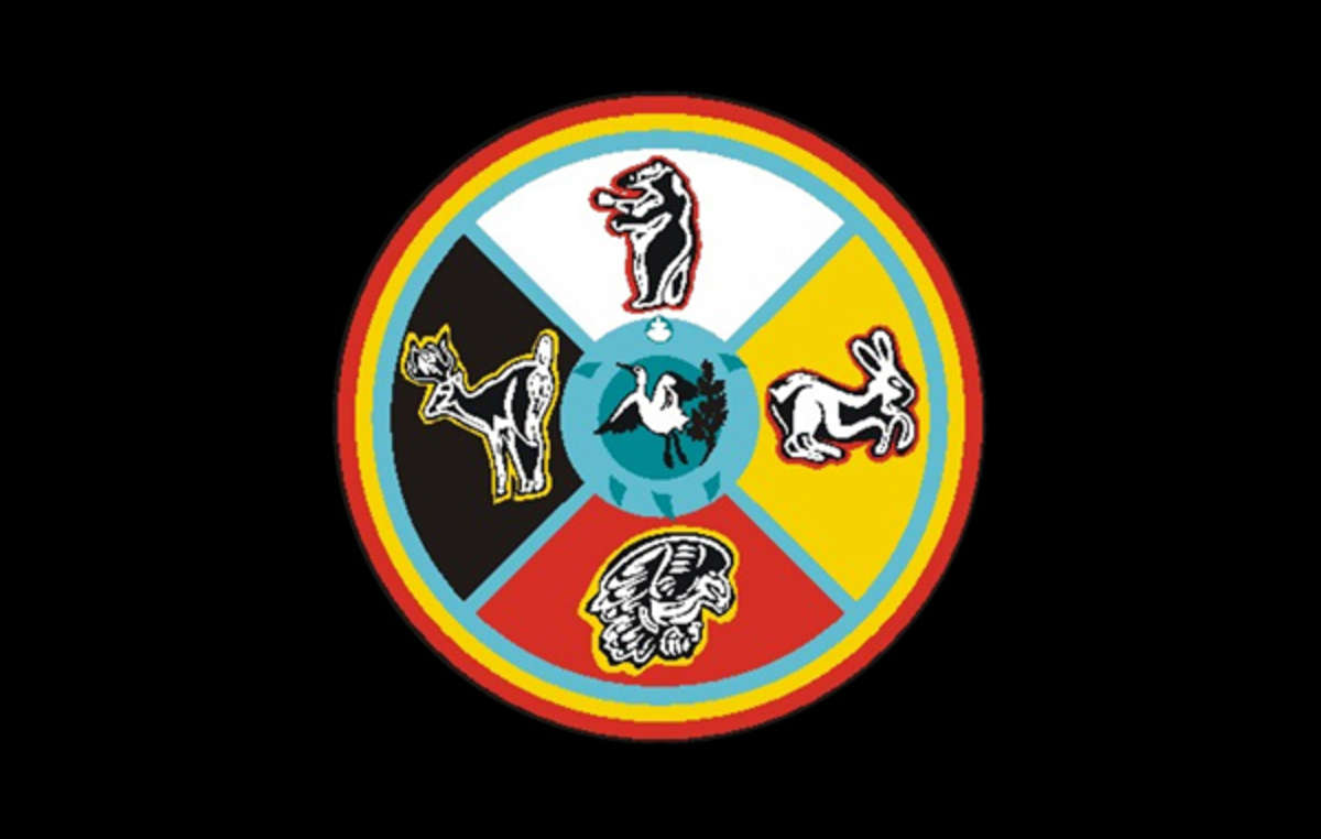 The flag of the Sault Sainte Marie Tribe of Chippewa Indians. The tribe has demanded the return of the remains of their ancestors held by a German museum.