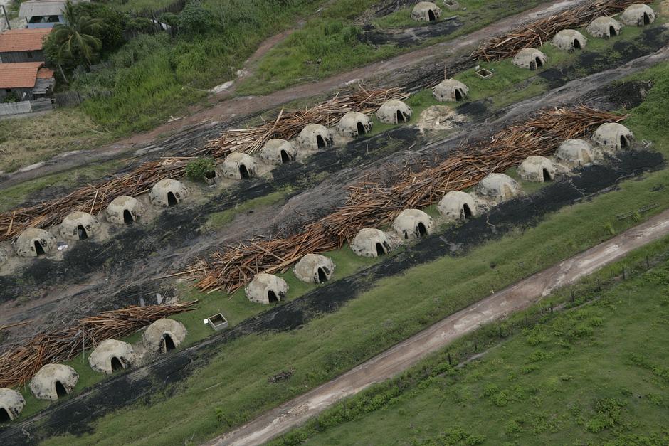 The loggers constructed special ovens on the Awá's territory in order to convert timber into charcoal, for use in the iron ore industry.  