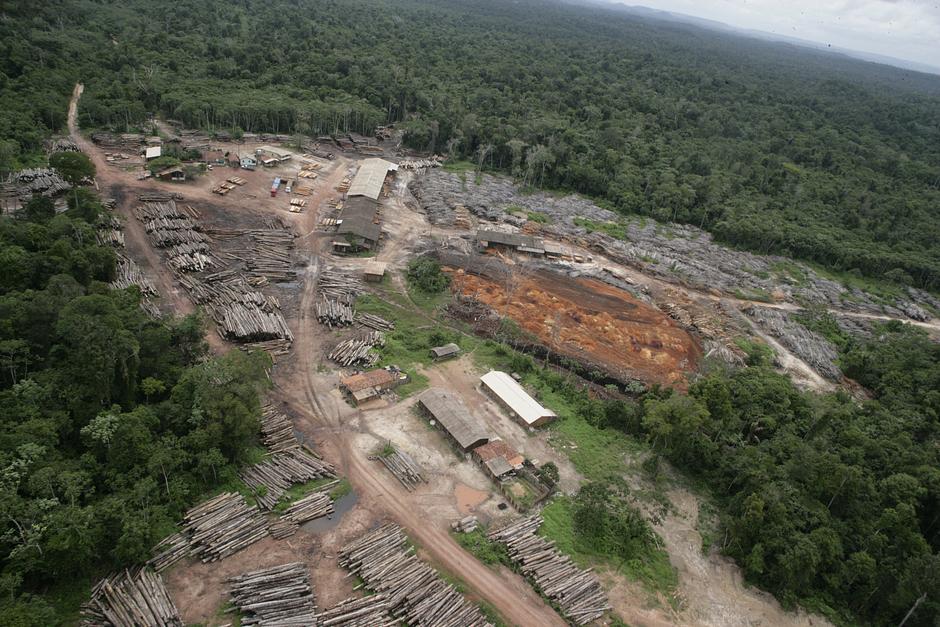 One of dozens of illegal sawmills operating in the Awá territory, surrounded by lush rainforest.

_The trucks are loaded with wood_, one Awá man told Survival.  _They don't even stop at night_.