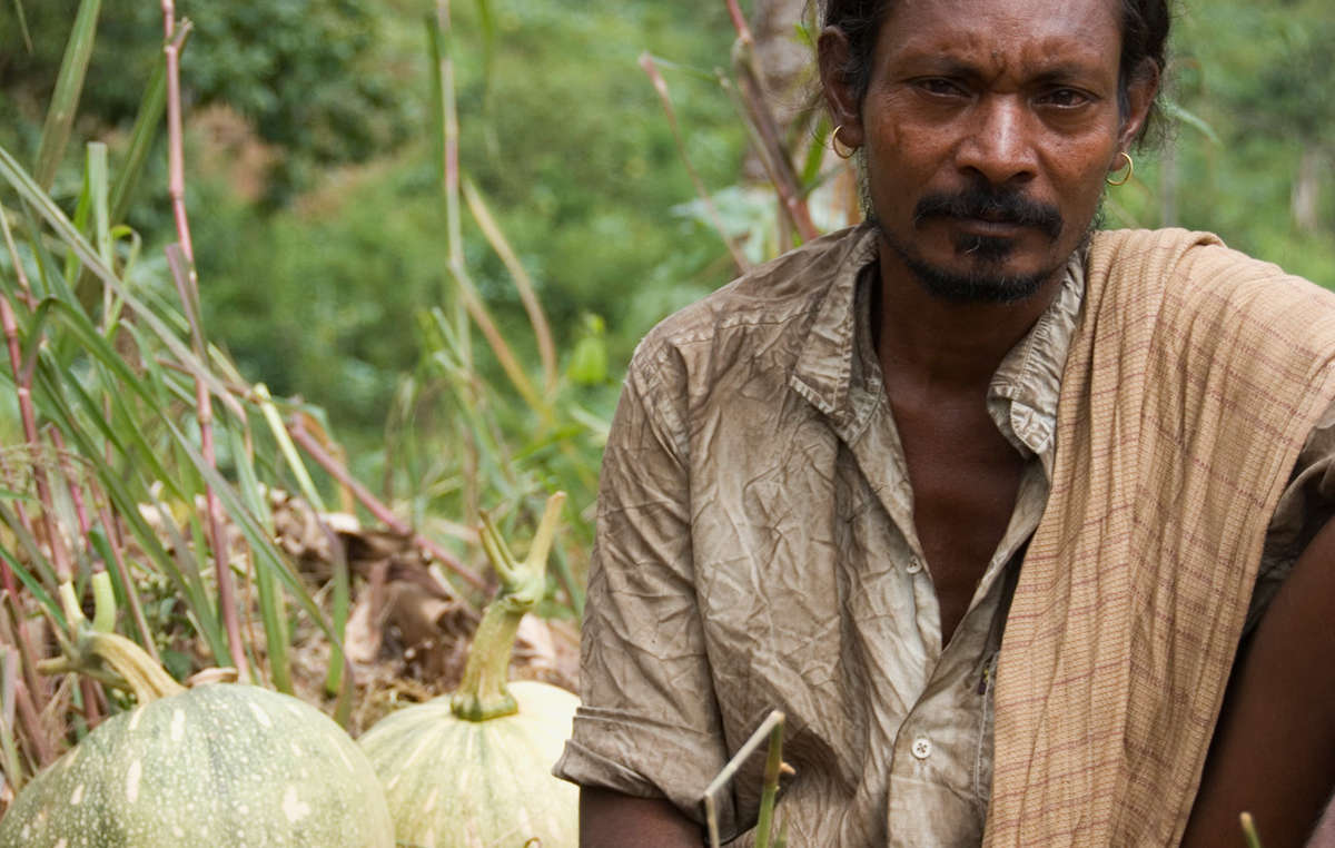 Dongria Kondh man in Niyamgiri, India