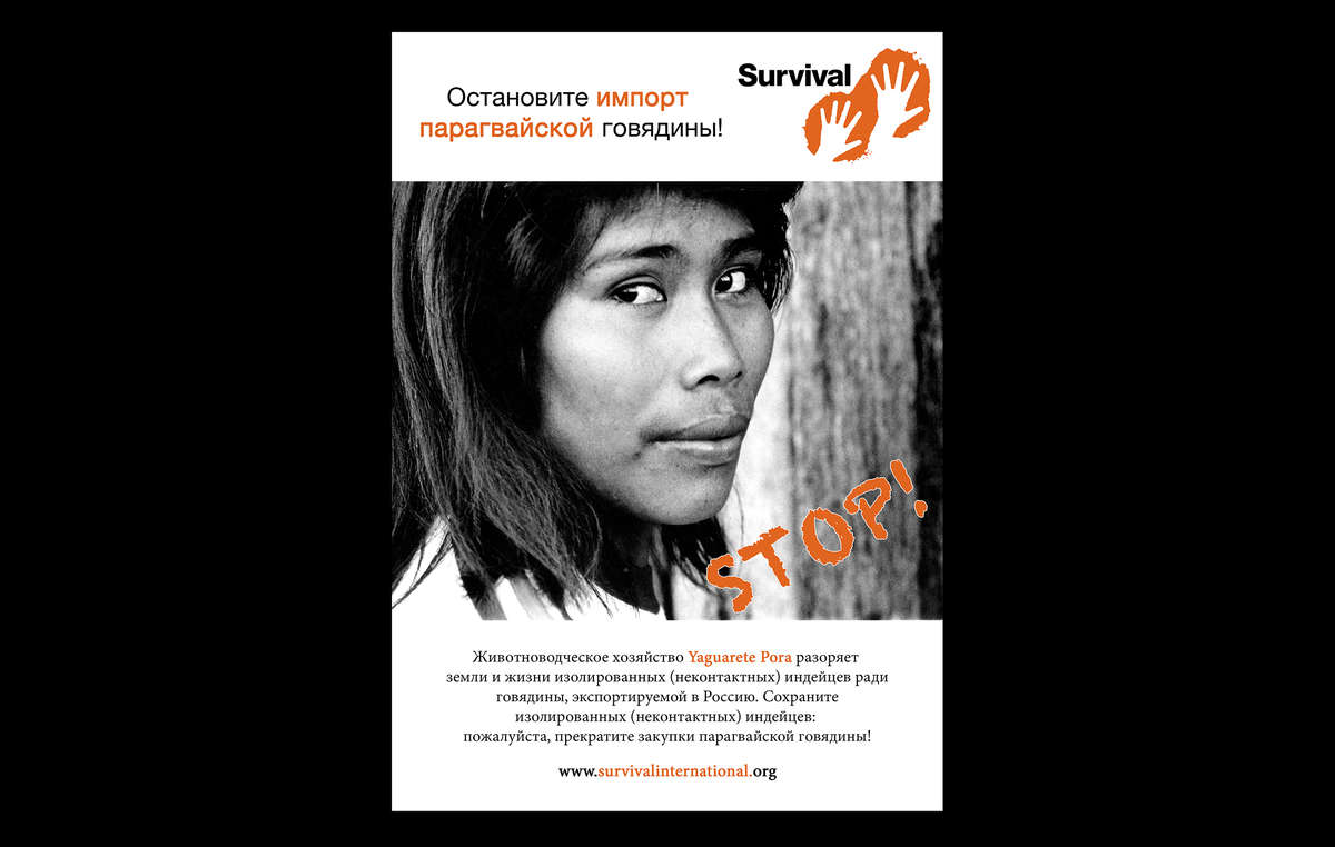 Survival’s new ad urges Russia to stop beef imports from Paraguay until the Ayoreo’s land is protected
