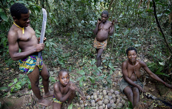 The Baka use the Cameroonian rainforest for food, medicine, and religious rituals. They are now excluded from it by force.