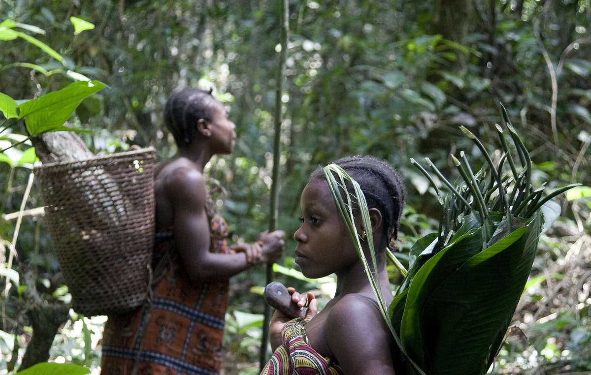 Baka im Südosten Kameruns werden von Anti-Wilderer-Einheiten, die vom WWF finanziert und unterstützt werden, schwer misshandelt.