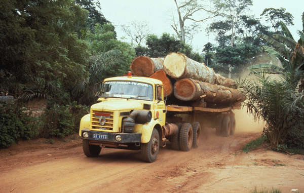 Widespread logging has been an acute problem for rainforest tribes for many years.