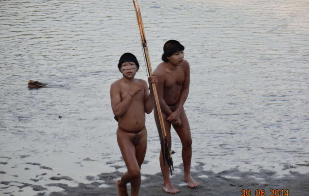 Uncontacted Indians in the Amazon rainforest made contact in June 2014 after their relatives were massacred and their houses set alight by outsiders.