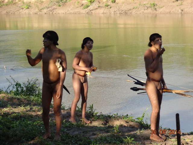 Em junho de 2014, indígenas isolados fizeram contato com uma comunidade Ashaninka perto da fronteira entre Brasil e Peru.