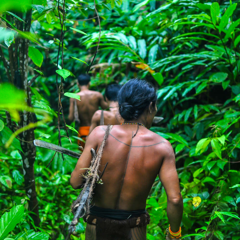 Juli 2015: Mentawai-Männer, Siberut, Mentawai-Inseln, Indonesien. 

In den Wäldern der Insel Siberut, Indonesien, macht eine Gruppe von Mentawai mit Bogen und Giftpfeilen Jagd auf Affen.