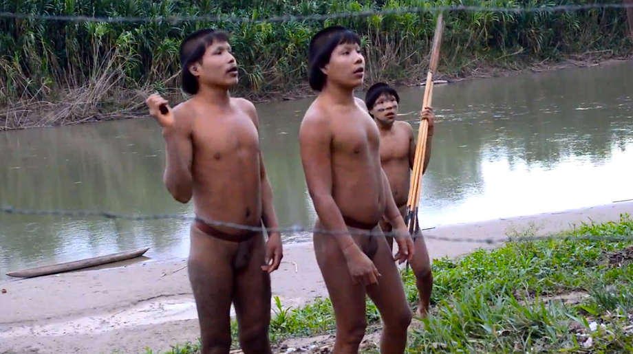 Indígenas isolados fizeram contato com uma comunidade Ashaninka contatada perto da fronteira Brasil-Peru em junho de 2014.