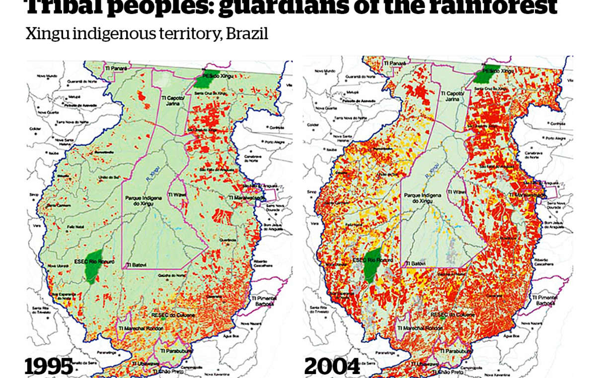 Diversas tribos vivem no parque indígena Xingu (delineado em cor de rosa). Ele providencia uma barreira vital contra o desmatamento (em vermelho) na Amazônia brasileira.