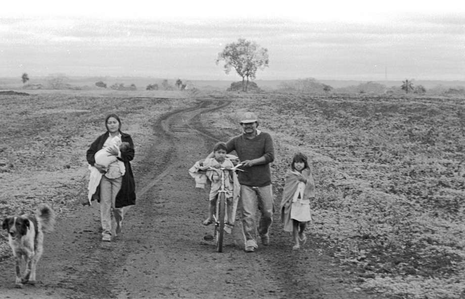 A Guarani father leads his family through a sugar cane plantation that was once his forest homeland.

For the Guarani people of Brazil, land is the origin of all life.  They once occupied an area of forests and plains totalling 350,000 square kilometers, but violent invasions by ranchers have devastated their territory.  Almost all their land has now been stolen. 

Today, they are squeezed onto tiny patches of land surrounded by cattle ranches and vast fields of soya and sugar cane. Some have no land at all, and are forced to live in makeshift shacks by busy roadsides.  

_Laranjeira Nanderu was my father's land, my grandfather's land, my great grandfather's land_, a Guarani man told Survival.  _We need to go back there so we can live in peace.  That is our only dream._