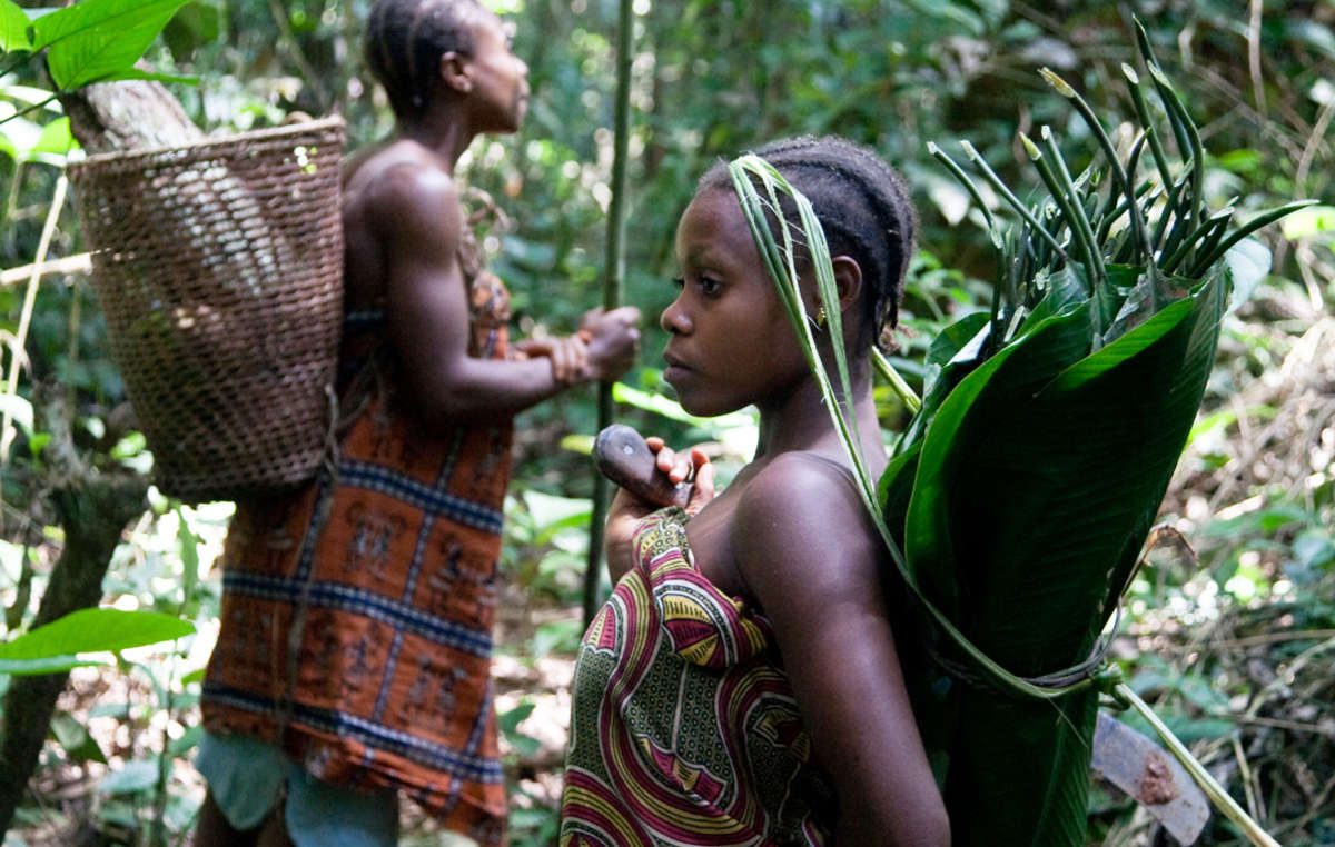 Früher zogen kleine „Pygmäen“-Gruppen durch den Wald, um alle möglichen Waldprodukte zu sammeln und um diese mit sesshaften Gemeinden zu tauschen.