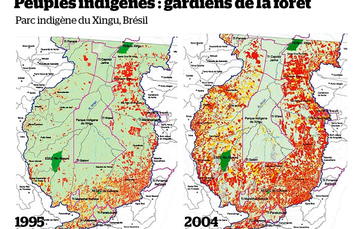 Le parc autochtone du Xingu (délimité par une ligne rose) abrite plusieurs groupes autochtones. Il représente une importante barrière à la déforestation (en rouge) de l’Amazonie brésilienne.
