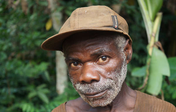 The Baka and Bayaka’s consent is required by law for any major project on their lands, but this is ignored by WWF and WCS.