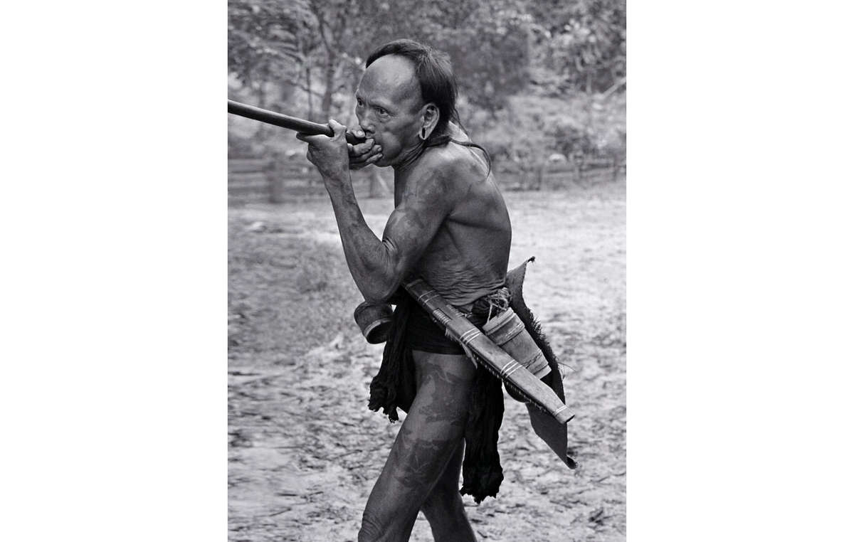 A nomadic Penan hunter-gatherer in Sarawak, Malaysia, using a blowpipe (1976). His loincloth is made from a long strip of soft, beaten bark, and around his waist is everything he needs in the forest: a sharp parang in its wooden sheath and a small container to hold spare poison darts.
