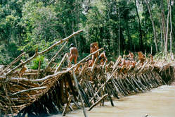 During the fishing season, Enawene Nawe men build wooden dams to catch fish, Brazil.